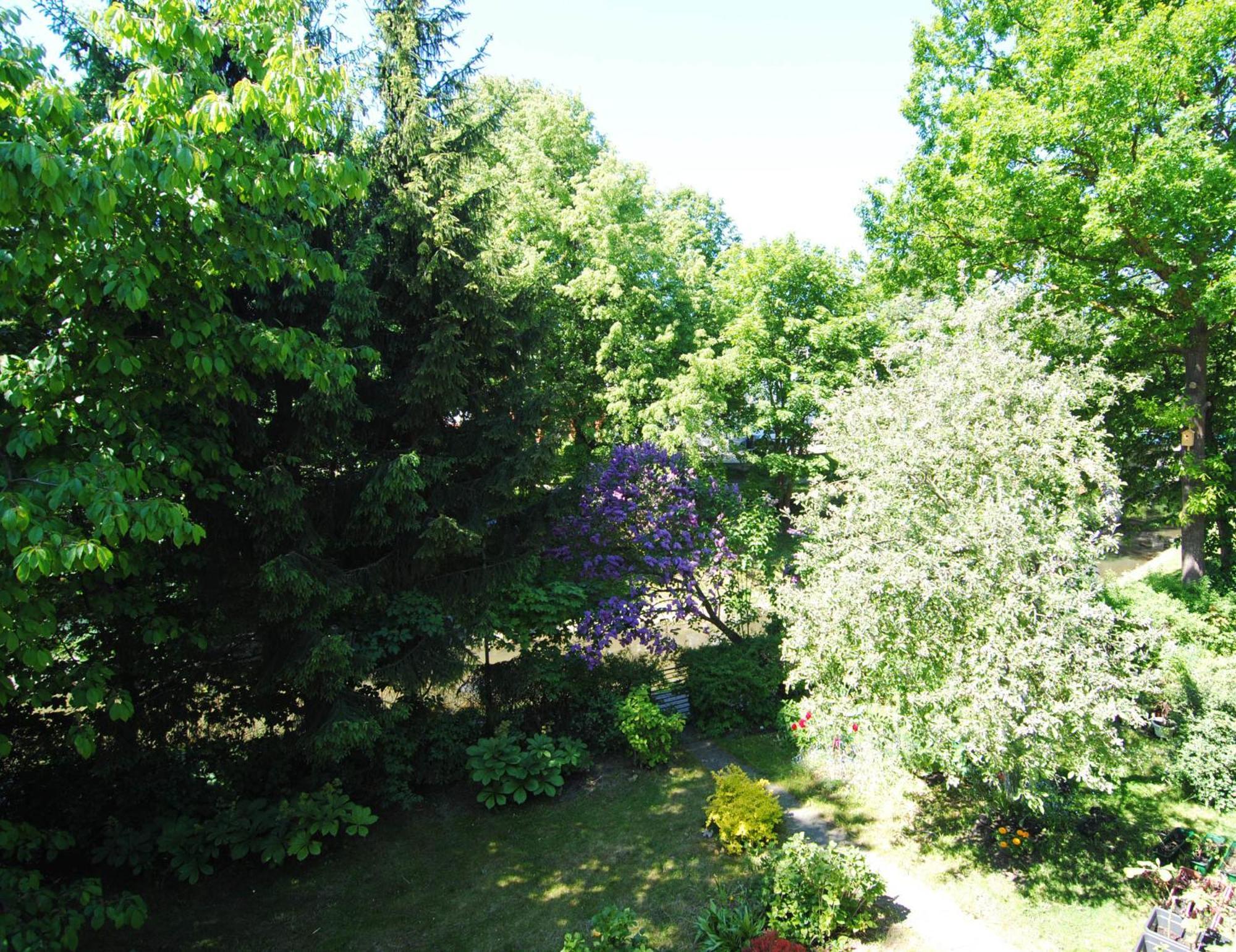 Vila Pri Rouzes Palanga Rom bilde